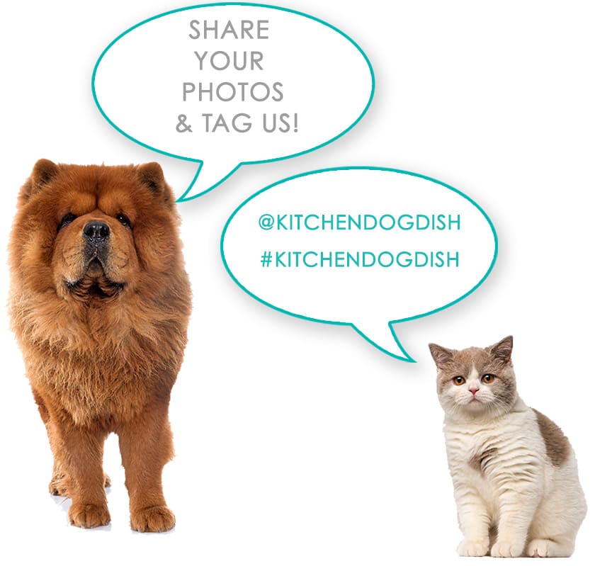 share-dog-cat share-dog-cat